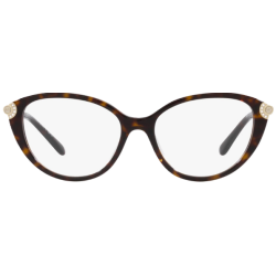 Michael Kors 4098BU 3006 53-16